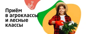 Лесные классы.